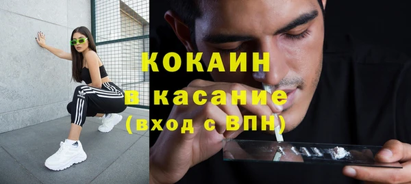 ECSTASY Богданович