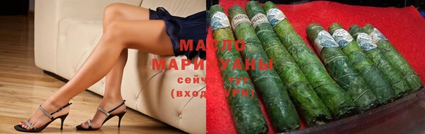 амф Верхний Тагил