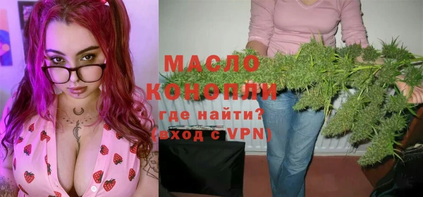 амф Верхний Тагил