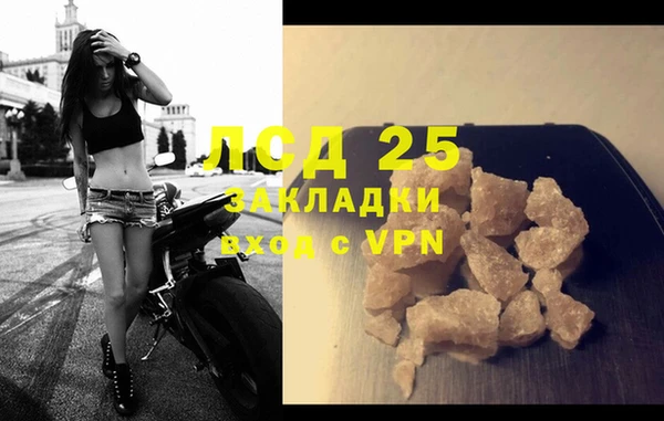 ECSTASY Богданович