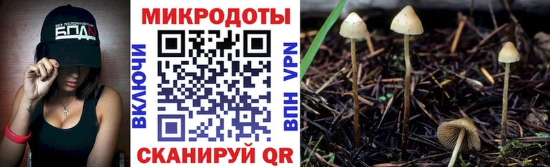 Галлюциногенные грибы Magic Shrooms Старица